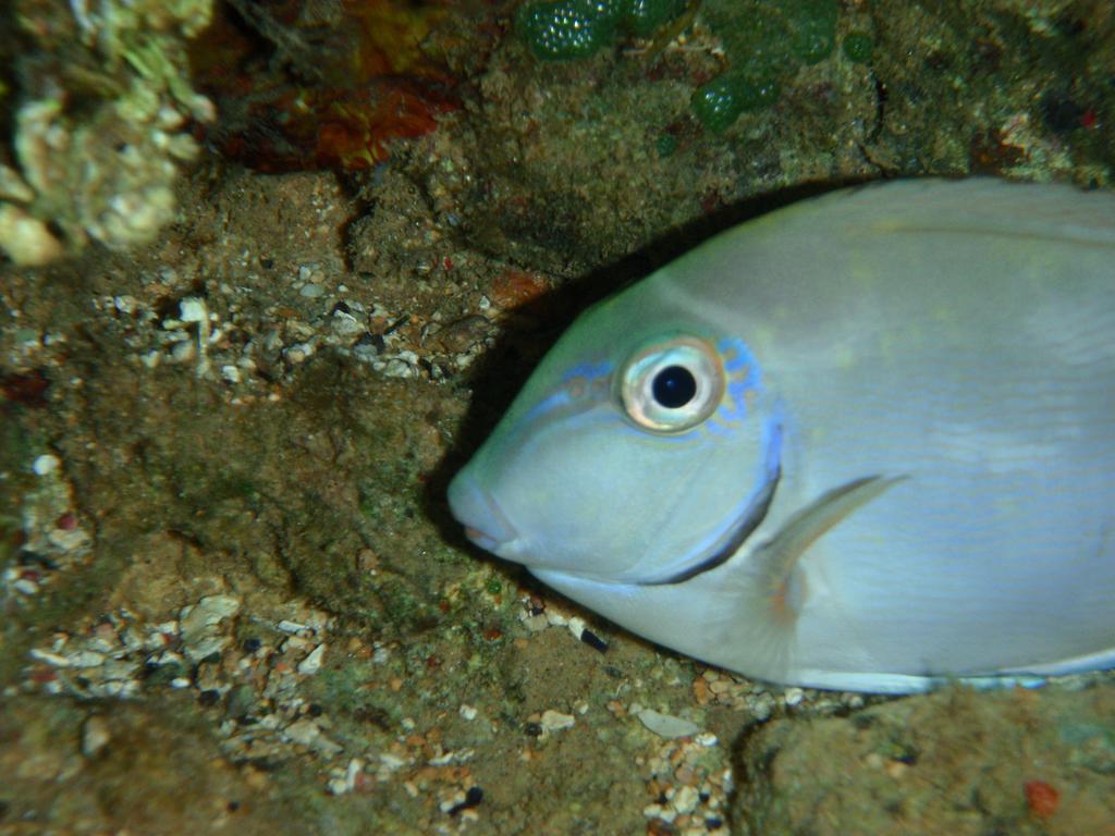 Pousada Kaluana Barra Grande  Ngoại thất bức ảnh